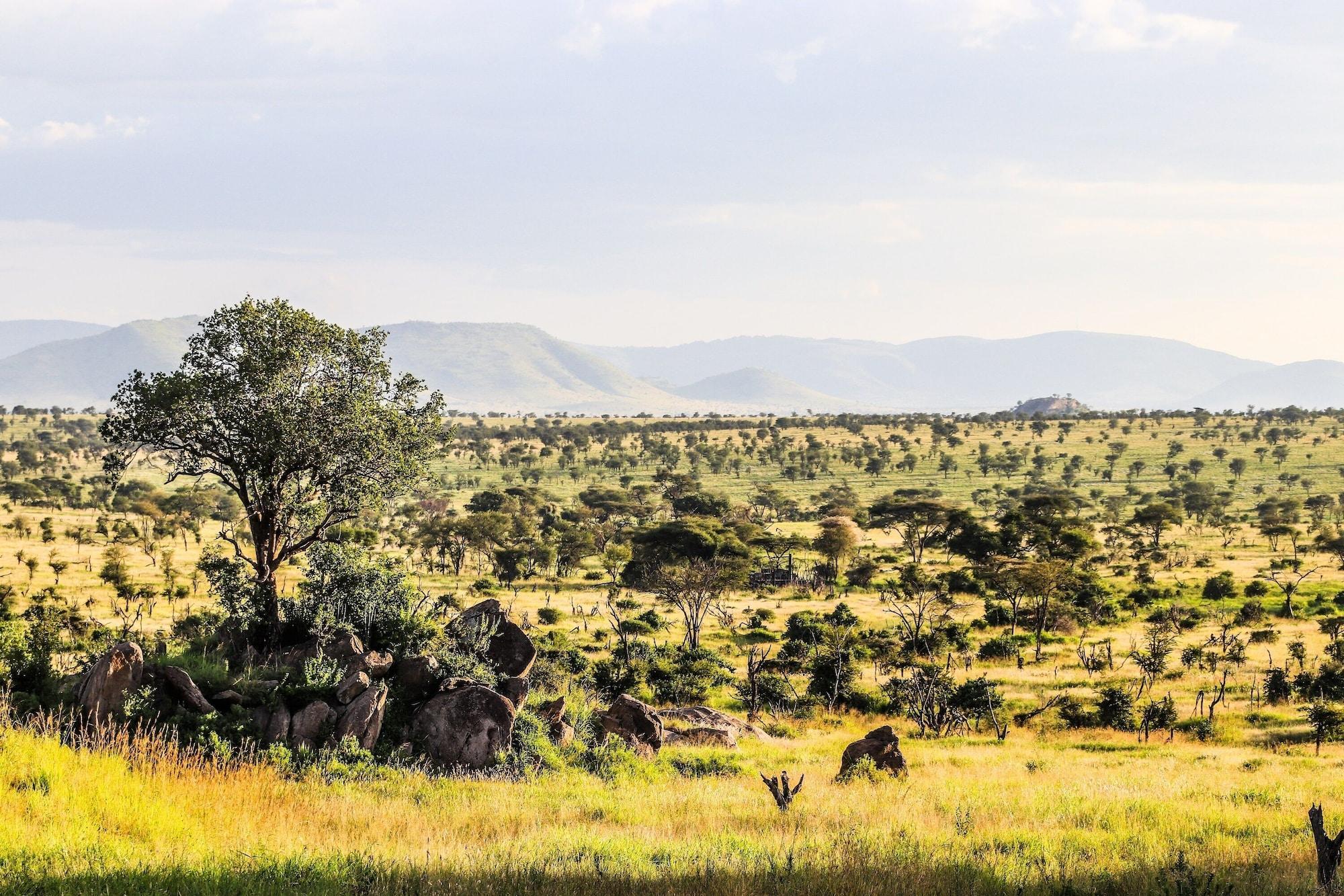 Four Seasons Safari Lodge Serengeti Exteriör bild